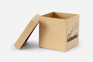 Packaging de Cartón