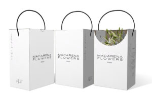 Cajas Navidad y cajas de flores: packaging navideño | Endagraf